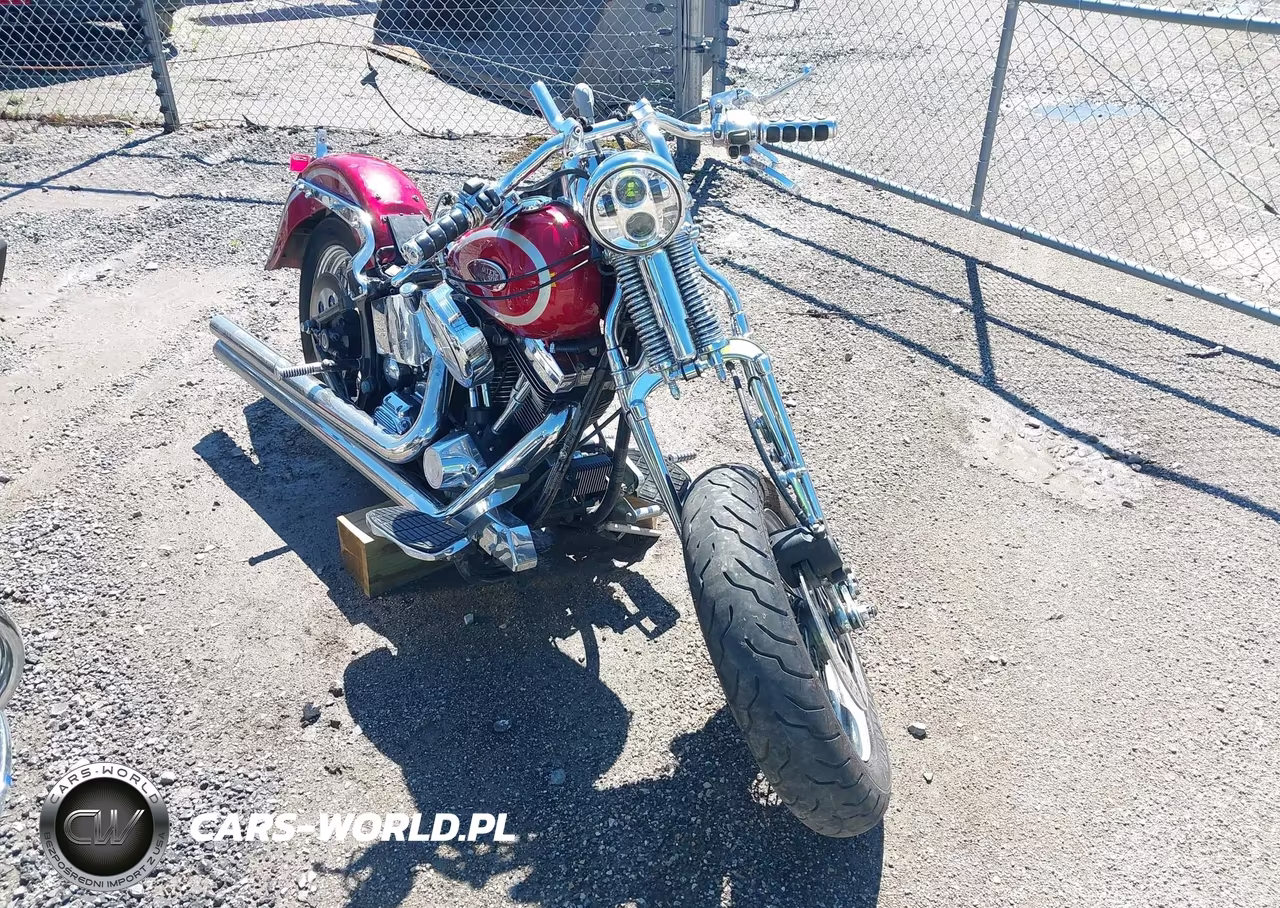 1999 Harley-Davidson Flsts