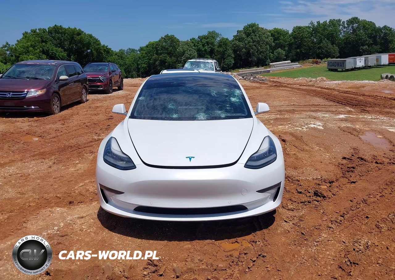 2020 Tesla Model 3 Performance Dual Motor All-Wheel Drive VIN:5YJ3E1EC8LF586962 - 12