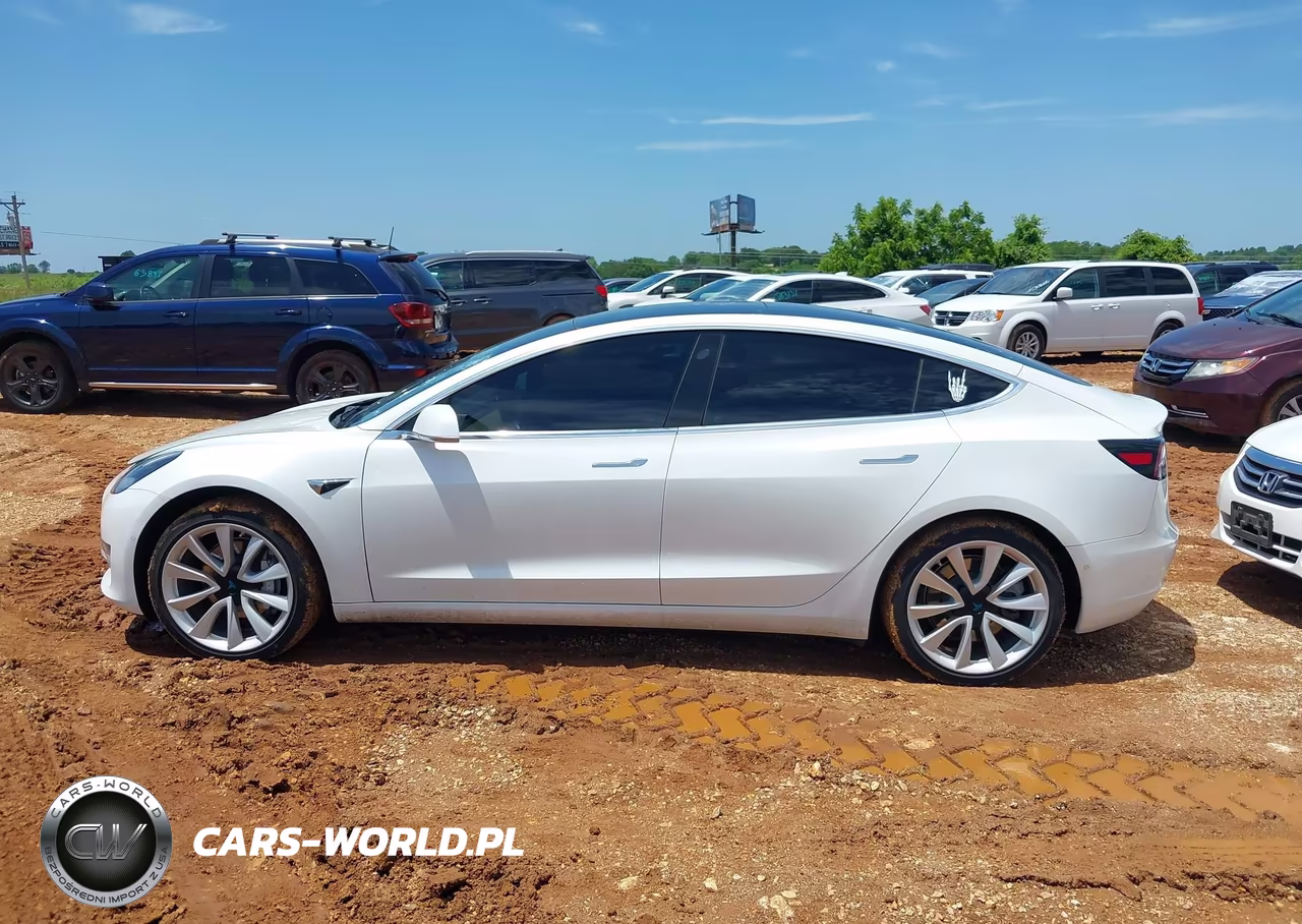 2020 Tesla Model 3 Performance Dual Motor All-Wheel Drive VIN:5YJ3E1EC8LF586962 - 14