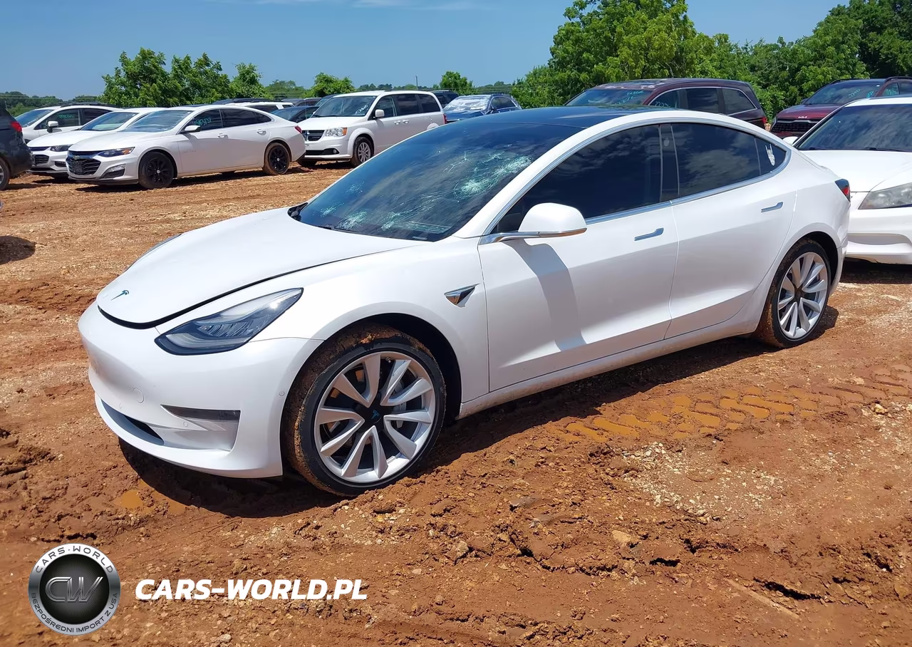 2020 Tesla Model 3 Performance Dual Motor All-Wheel Drive VIN:5YJ3E1EC8LF586962 - 2