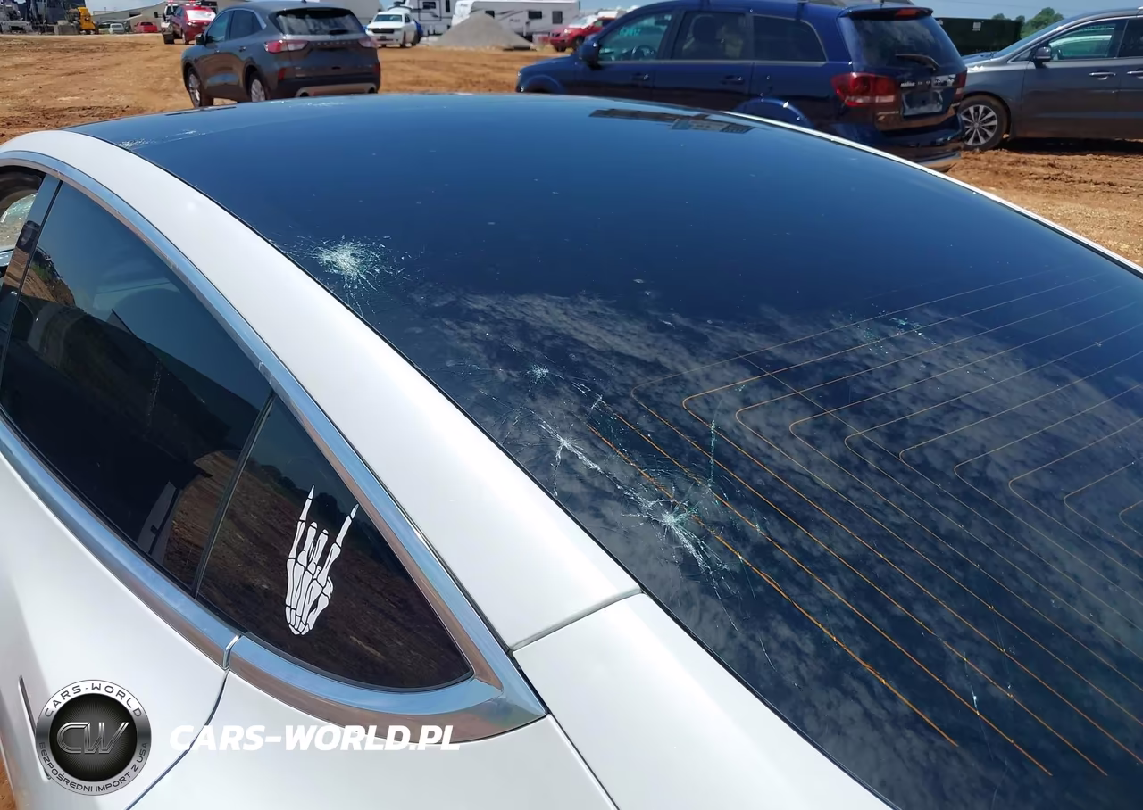 2020 Tesla Model 3 Performance Dual Motor All-Wheel Drive VIN:5YJ3E1EC8LF586962 - 20
