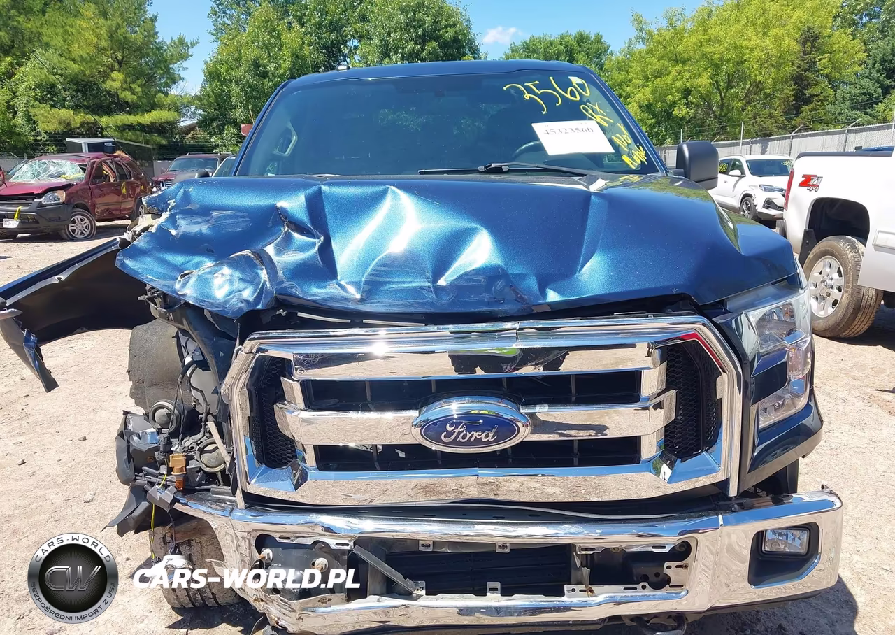 2017 Ford F-150 Xlt VIN:1FTEW1EP4HFB34373 - 12