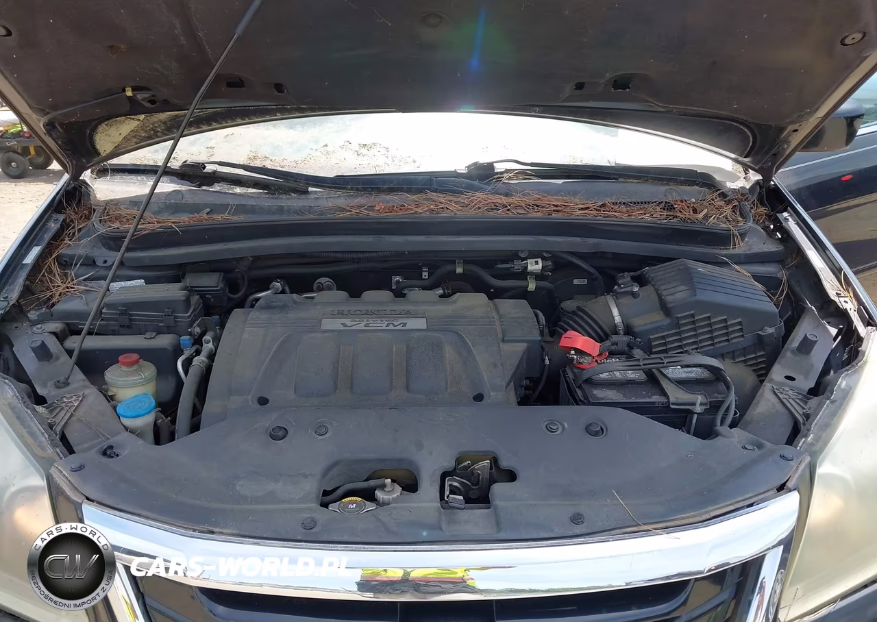 2008 Honda Odyssey Ex-L VIN:5FNRL38638B053250 - 10