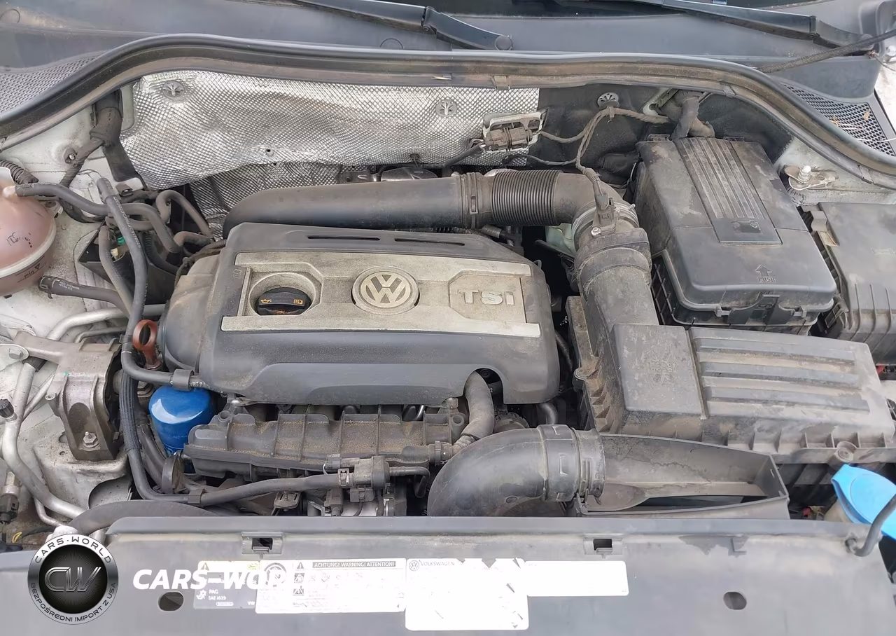 2013 Volkswagen Tiguan Se VIN:WVGAV7AX4DW542663 - 10