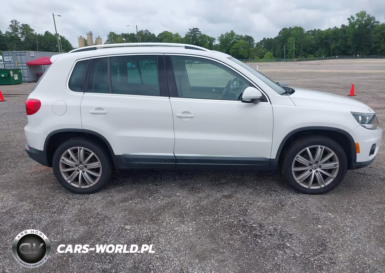 2013 Volkswagen Tiguan Se VIN:WVGAV7AX4DW542663 - 13