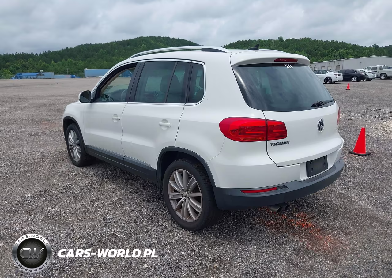 2013 Volkswagen Tiguan Se VIN:WVGAV7AX4DW542663 - 3
