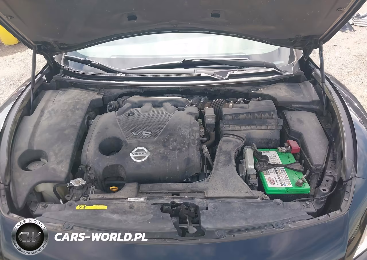 2009 Nissan Maxima 3.5 Sv VIN:1N4AA51E59C861202 - 10