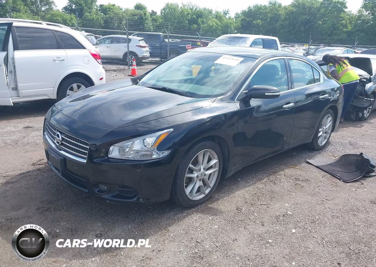 2009 Nissan Maxima 3.5 Sv VIN:1N4AA51E59C861202 - 2