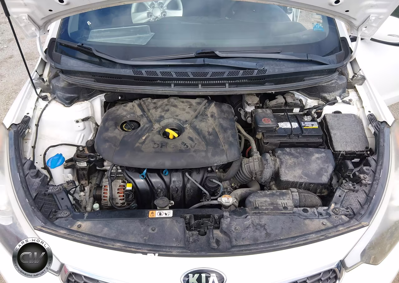 2015 Kia Forte Lx VIN:KNAFX4A61F5306861 - 10