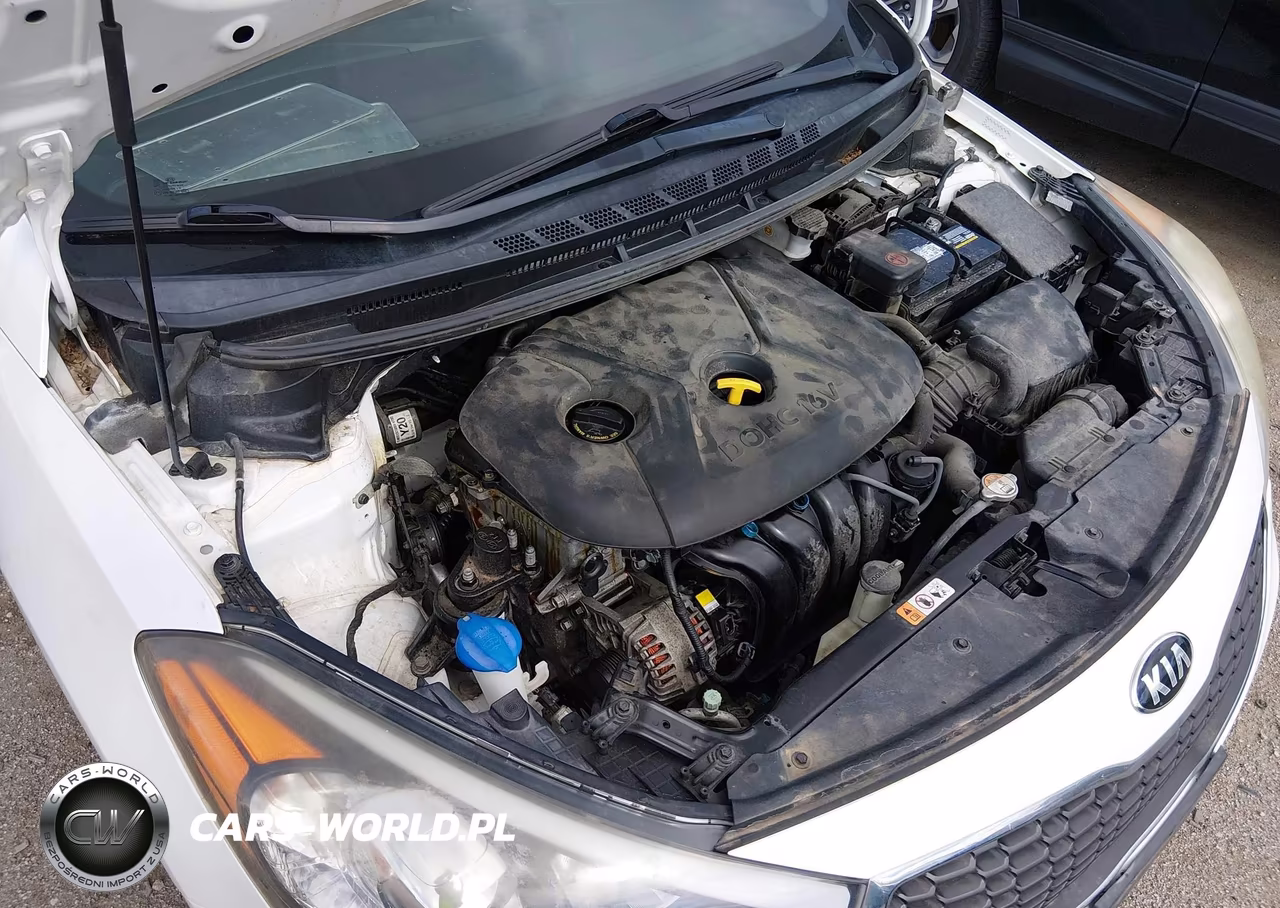 2015 Kia Forte Lx VIN:KNAFX4A61F5306861 - 6