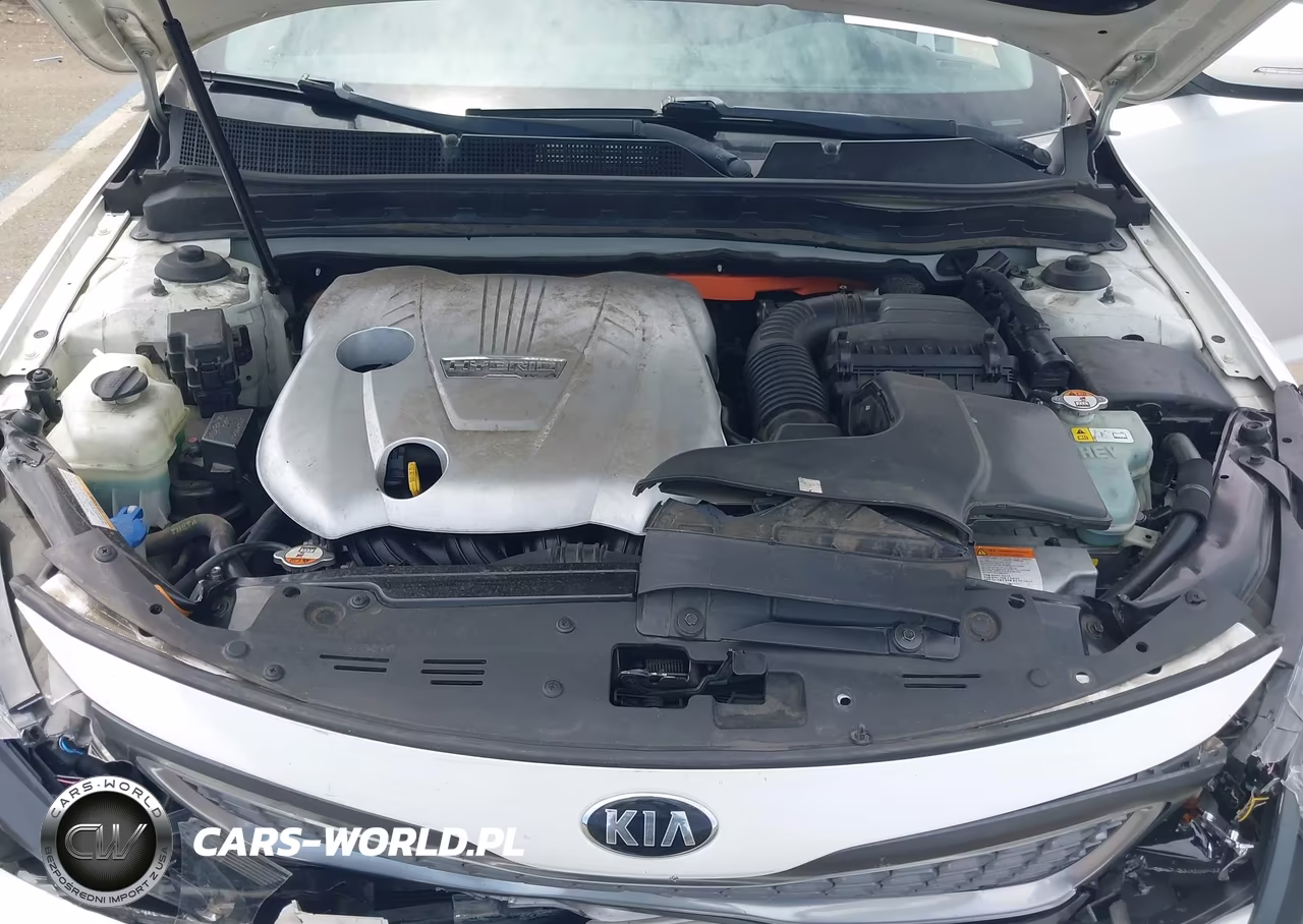 2016 Kia Optima Hybrid Ex VIN:KNAGN4AD4G5093379 - 10