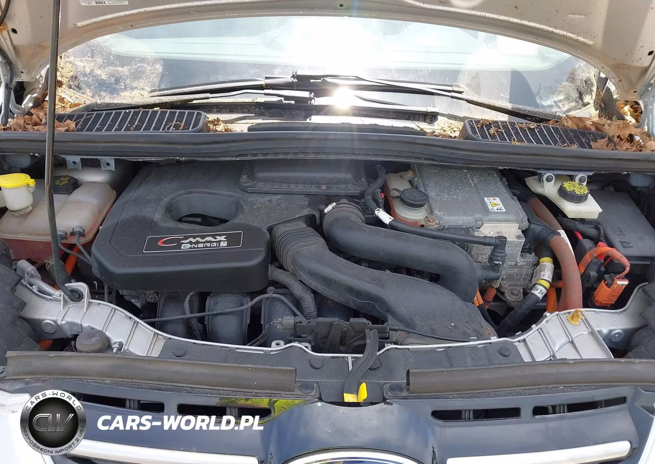 2014 Ford C-Max Energi Sel VIN:1FADP5CU5EL515788 - 10