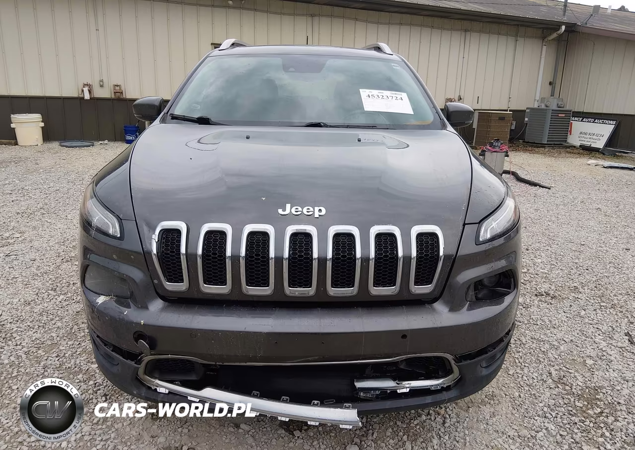 2014 JEEP CHEROKEE LIMITED VIN:1C4PJMDS3EW174535 - 12