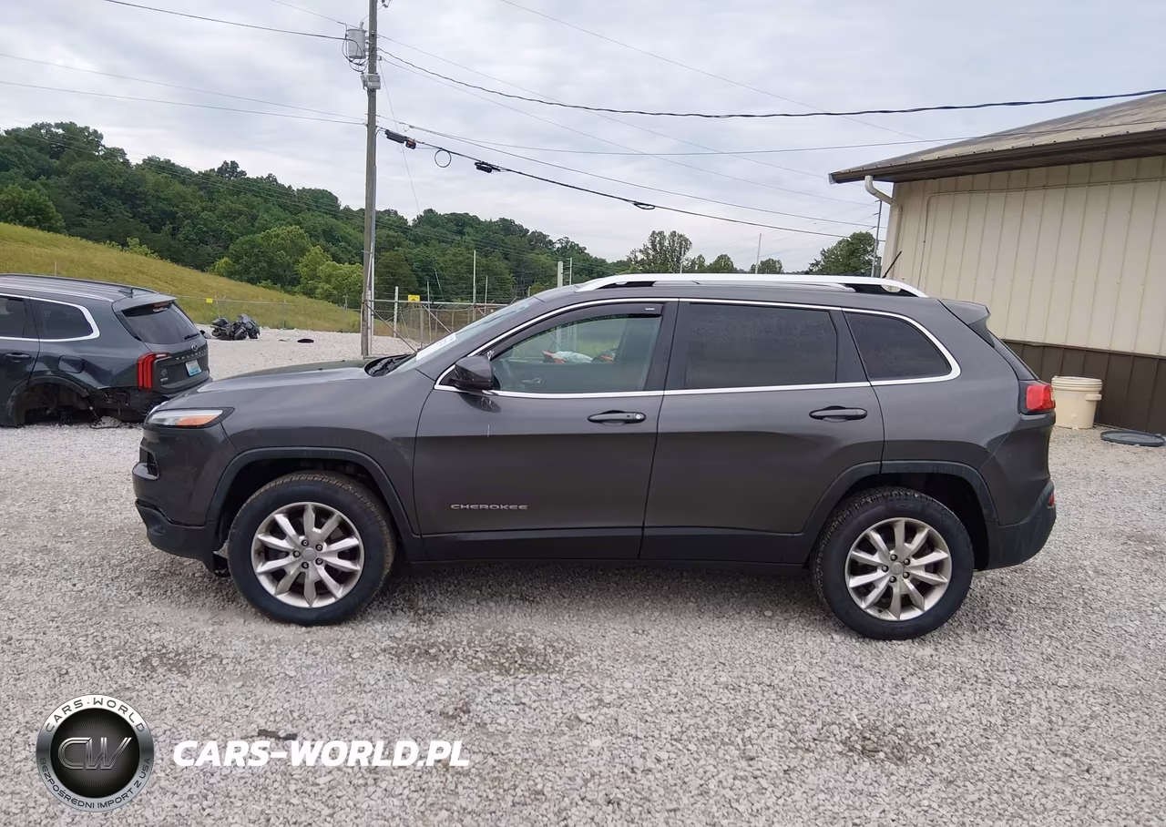 2014 JEEP CHEROKEE LIMITED VIN:1C4PJMDS3EW174535 - 14
