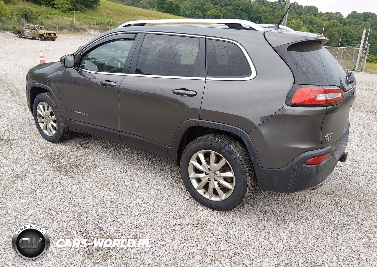 2014 JEEP CHEROKEE LIMITED VIN:1C4PJMDS3EW174535 - 3