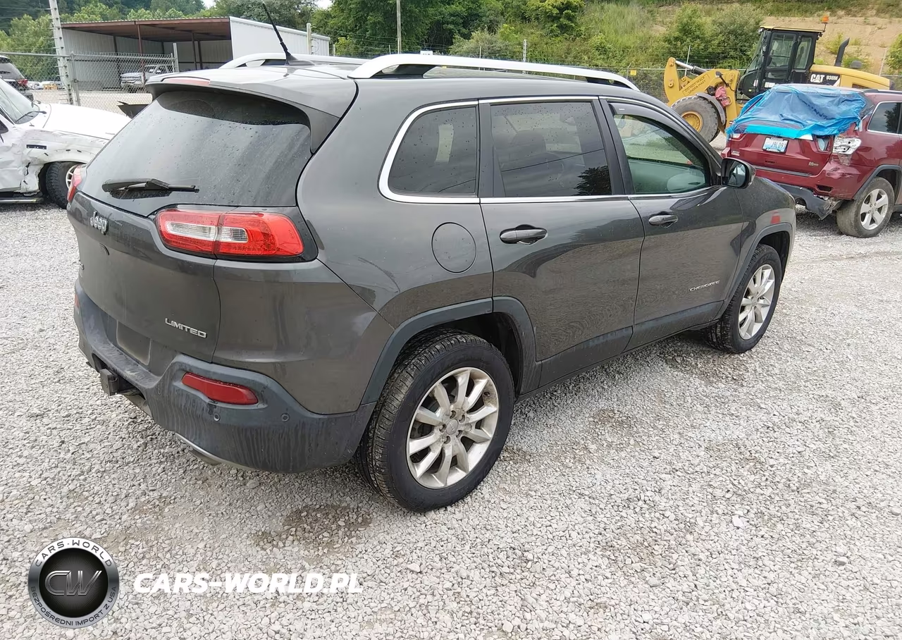 2014 JEEP CHEROKEE LIMITED VIN:1C4PJMDS3EW174535 - 4