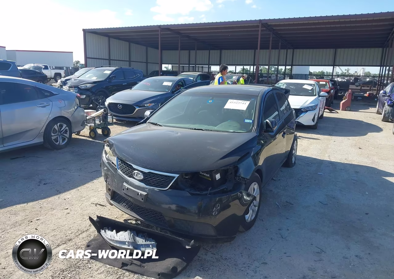 2013 Kia Forte Lx VIN:KNAFT4A24D5668348 - 2