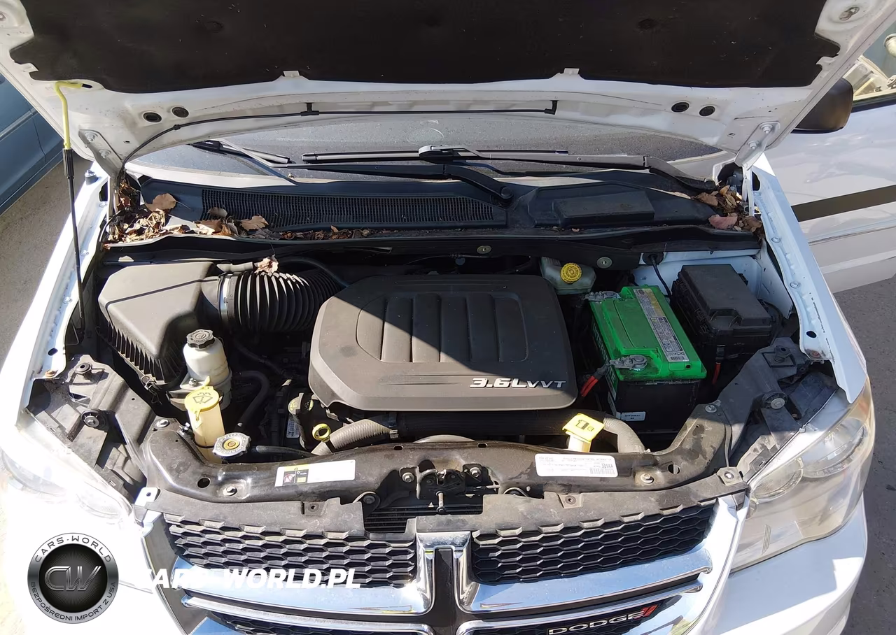 2016 Dodge Grand Caravan Se VIN:2C4RDGBG2GR101572 - 10