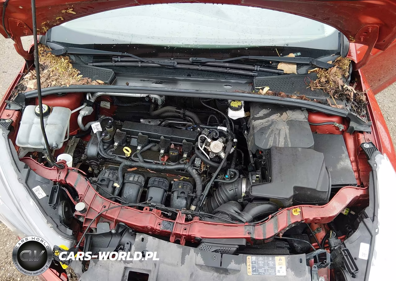 2018 Ford Focus Sel VIN:1FADP3H20JL243401 - 10