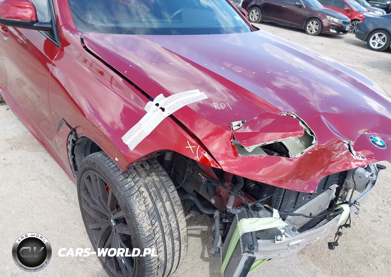 2023 BMW X6 xDrive40I VIN:5UXCY6C01P9N63793 - 19