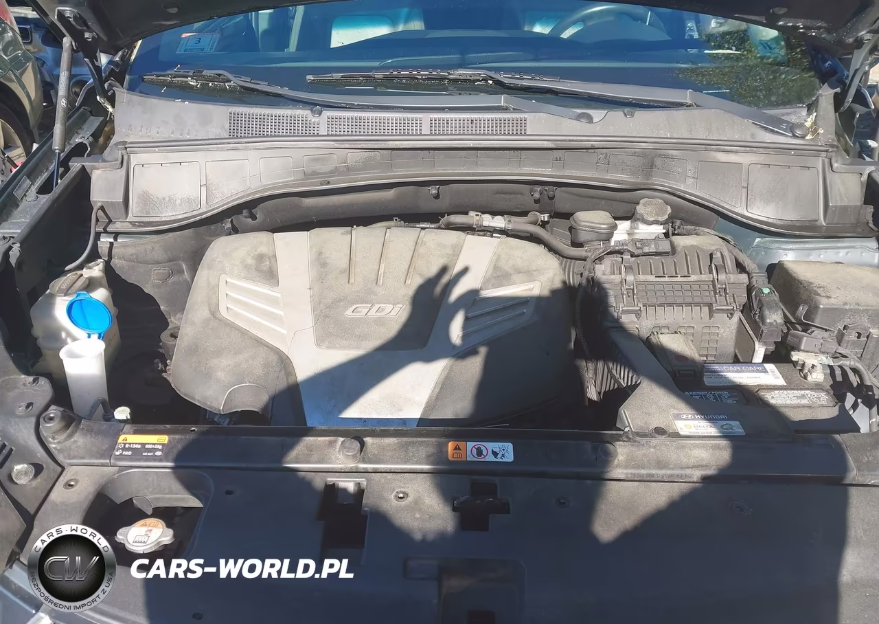 2017 Hyundai Santa Fe Limited Ultimate VIN:KM8SRDHF2HU220531 - 10