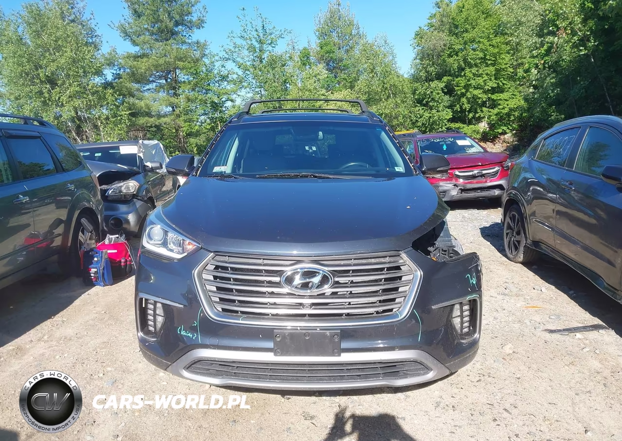 2017 Hyundai Santa Fe Limited Ultimate VIN:KM8SRDHF2HU220531 - 13