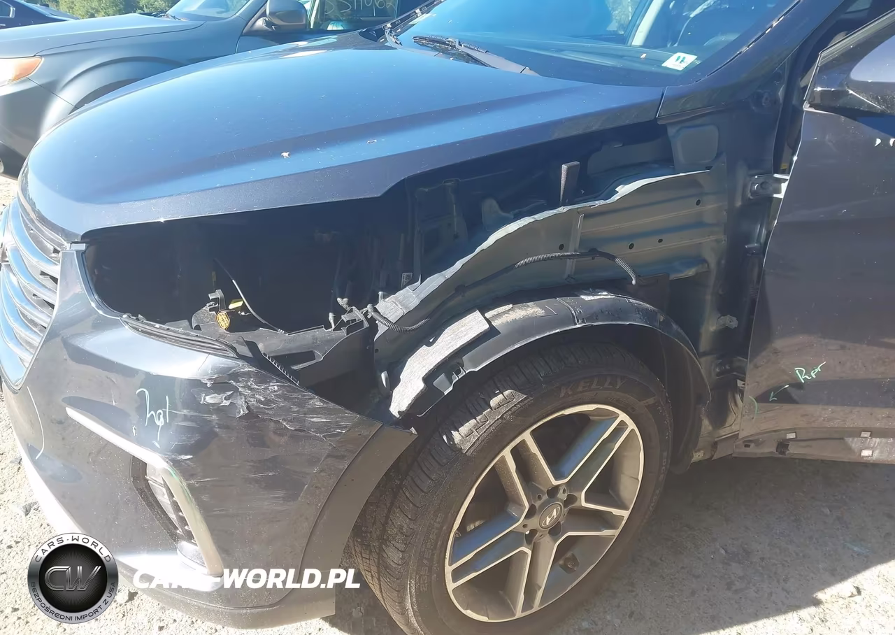 2017 Hyundai Santa Fe Limited Ultimate VIN:KM8SRDHF2HU220531 - 6
