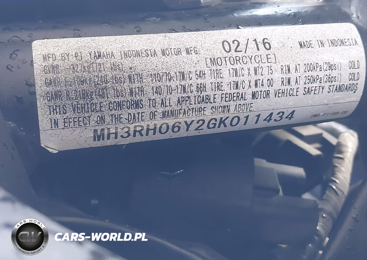 2016 Yamaha Yzfr3 VIN:MH3RH06Y2GK011434 - 10