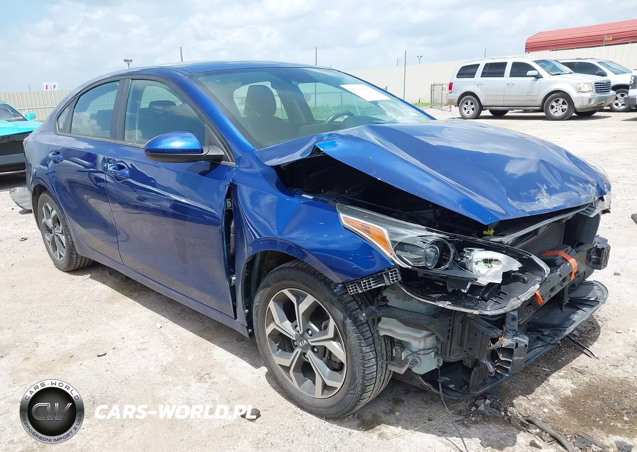 2019 Kia Forte Lxs