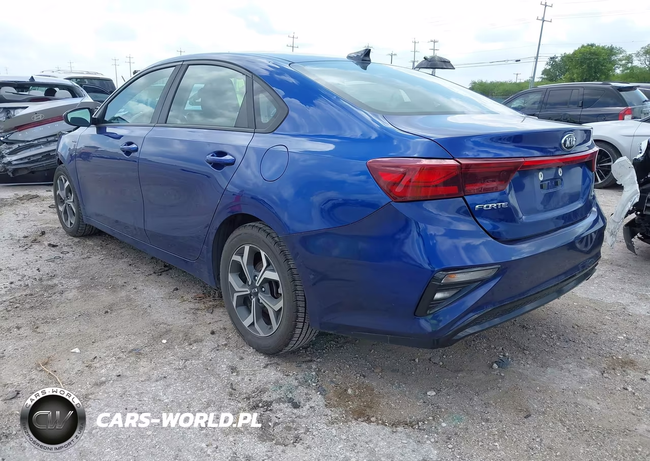 2019 Kia Forte Lxs VIN:3KPF24AD6KE045886 - 3