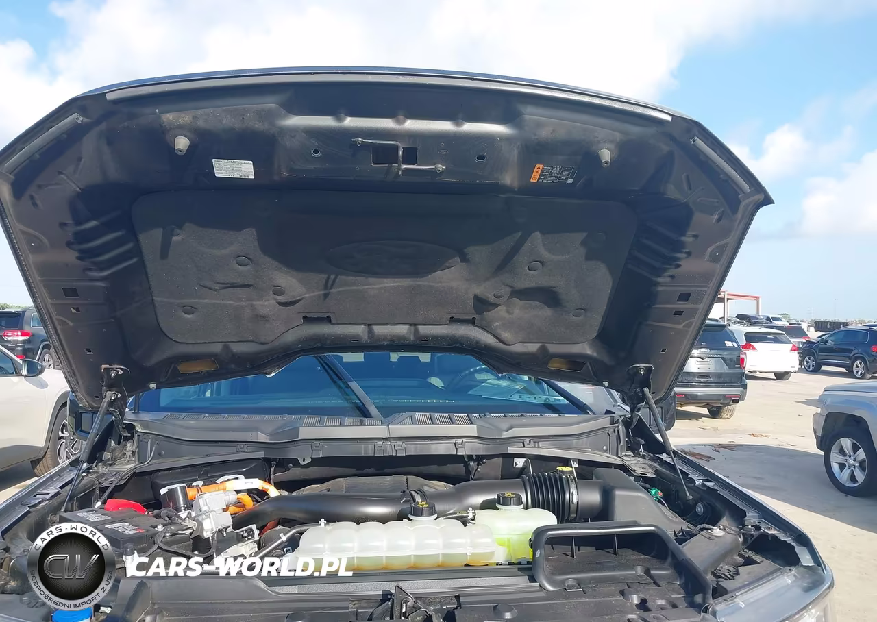 2023 Ford F-150 Xlt VIN:1FTFW1CD8PFC61073 - 10
