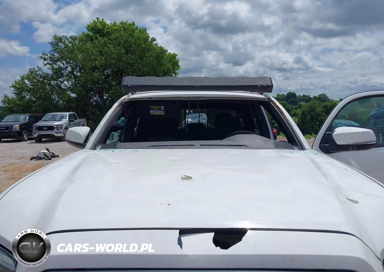 2020 Toyota Tacoma Trd Off-Road VIN:5TFCZ5AN6LX232902 - 5