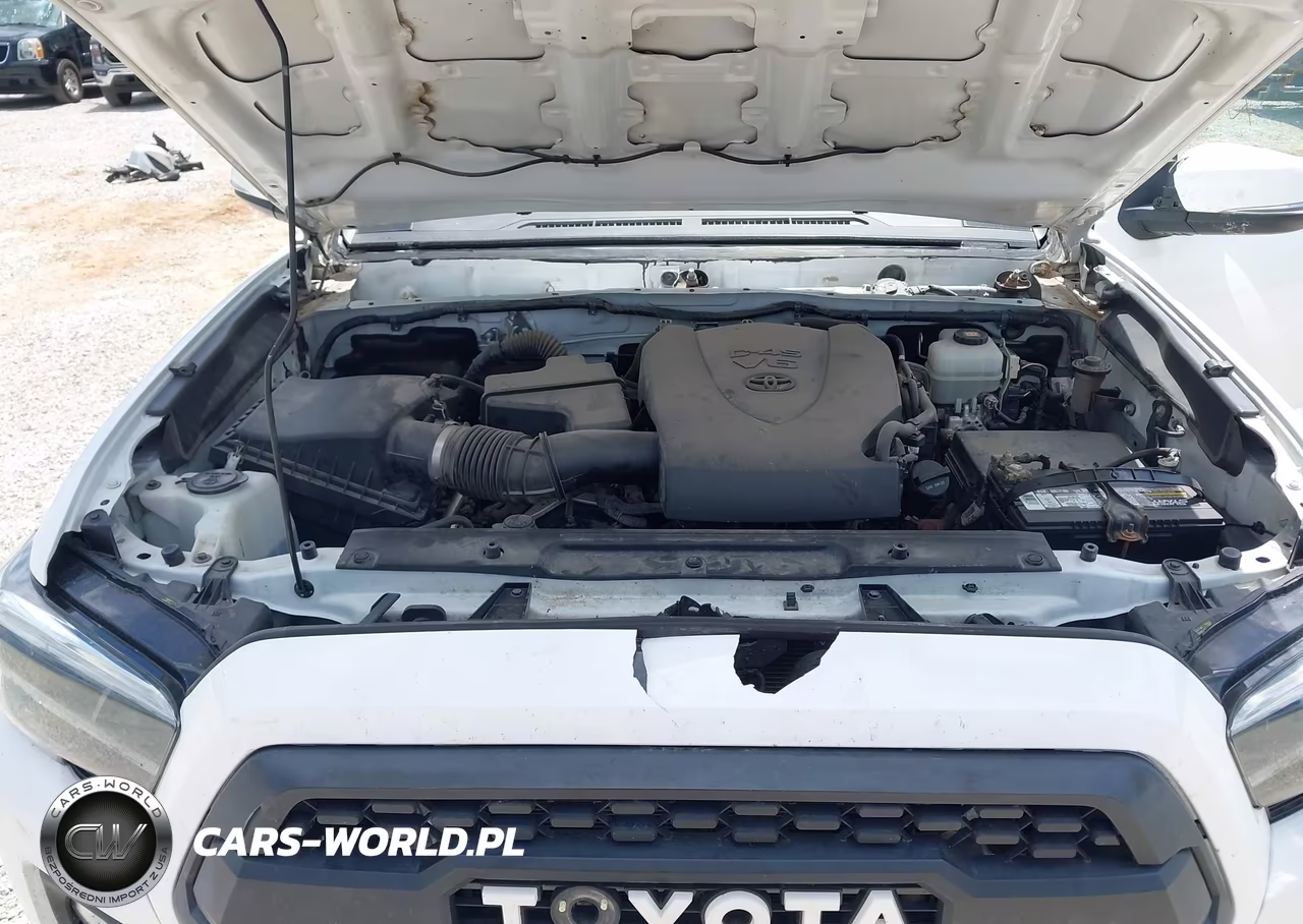 2020 Toyota Tacoma Trd Off-Road VIN:5TFCZ5AN6LX232902 - 9
