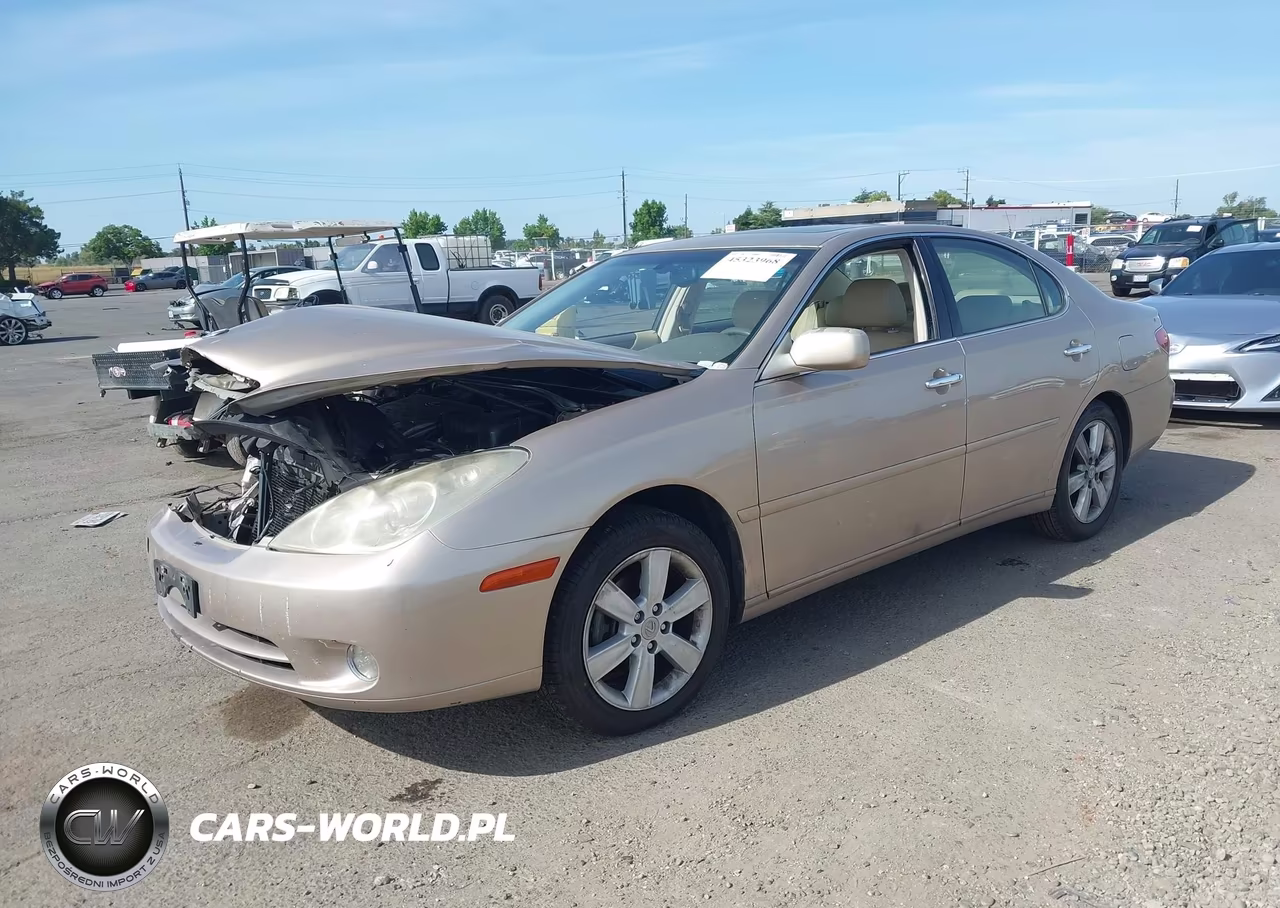 2005 Lexus Es 330 VIN:JTHBA30G955142683 - 2