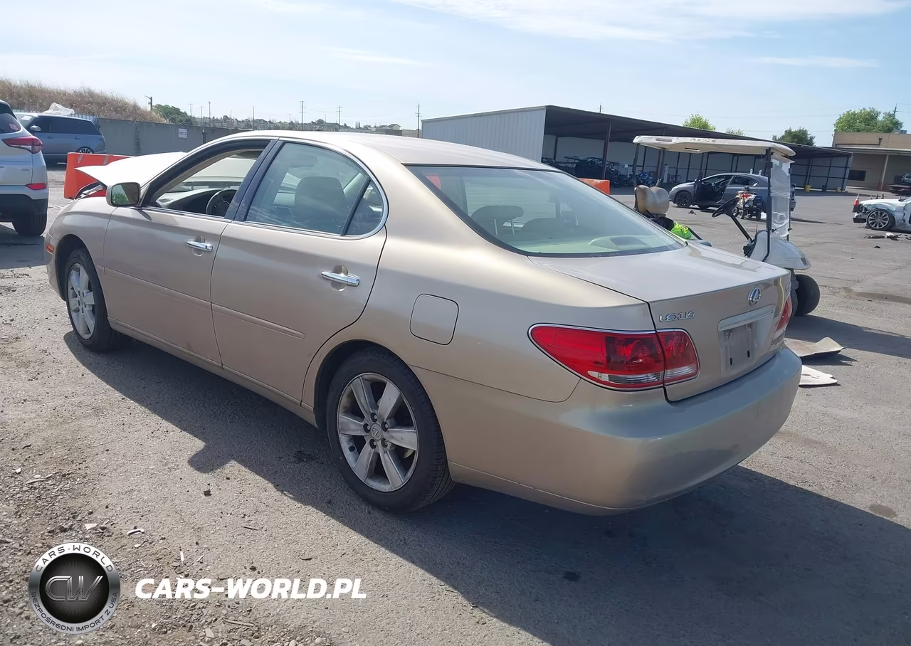 2005 Lexus Es 330 VIN:JTHBA30G955142683 - 3
