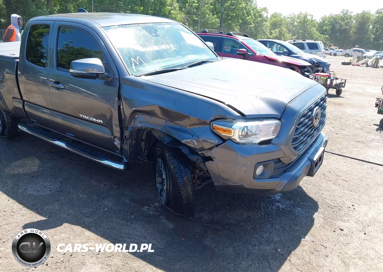 2020 Toyota Tacoma Trd Off-Road VIN:3TYSZ5AN1LT001718 - 6
