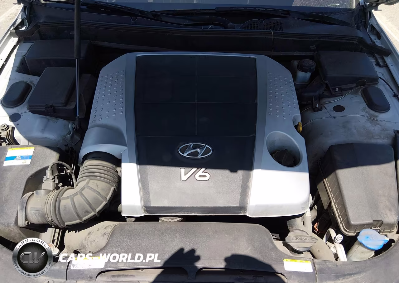 2011 Hyundai Genesis 3.8 VIN:KMHGC4DE9BU142308 - 10