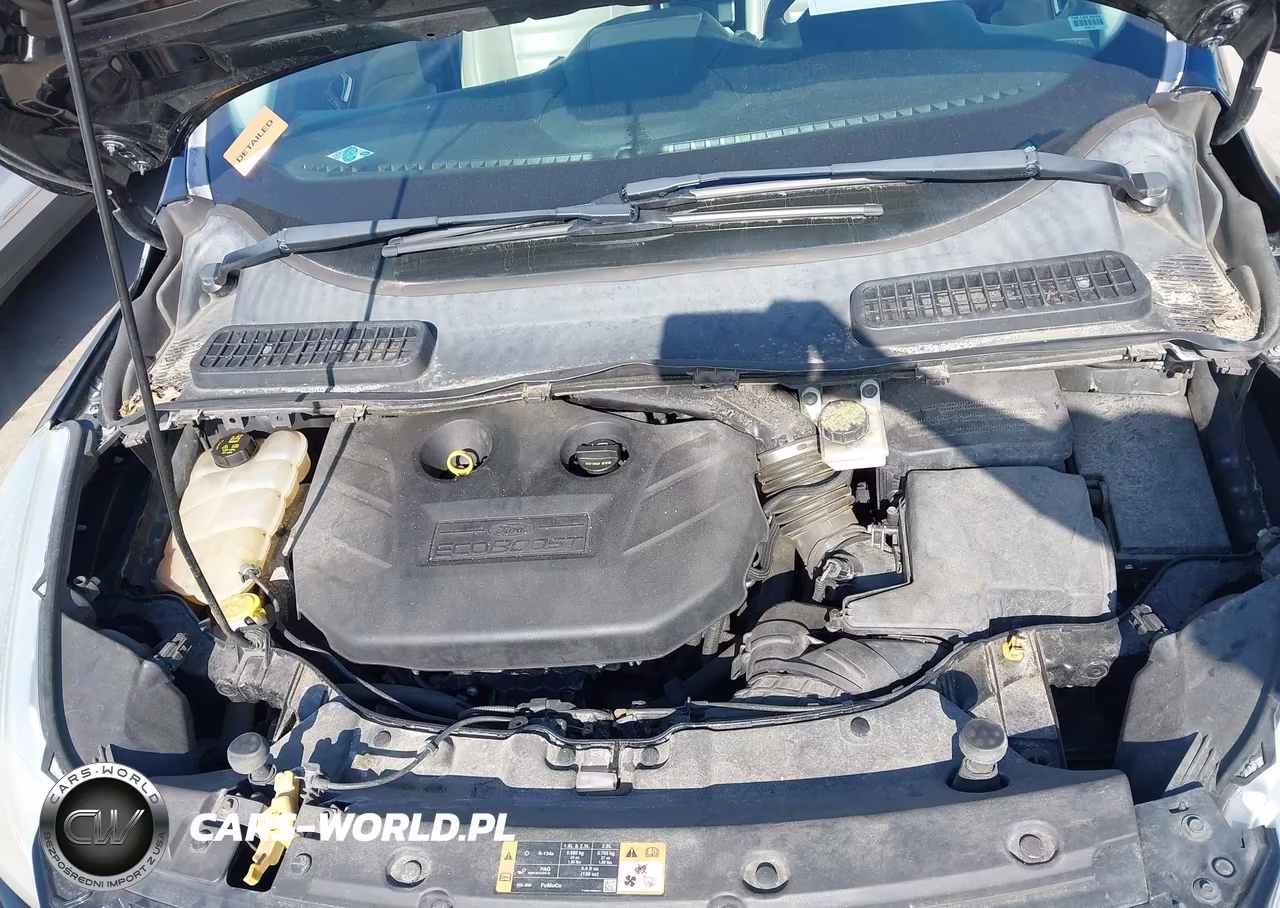 2014 Ford Escape Titanium VIN:1FMCU9J95EUA75341 - 10