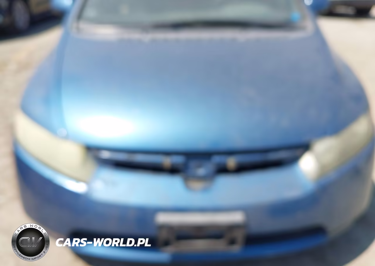 2006 Honda Civic Lx VIN:1HGFA16516L131804 - 10