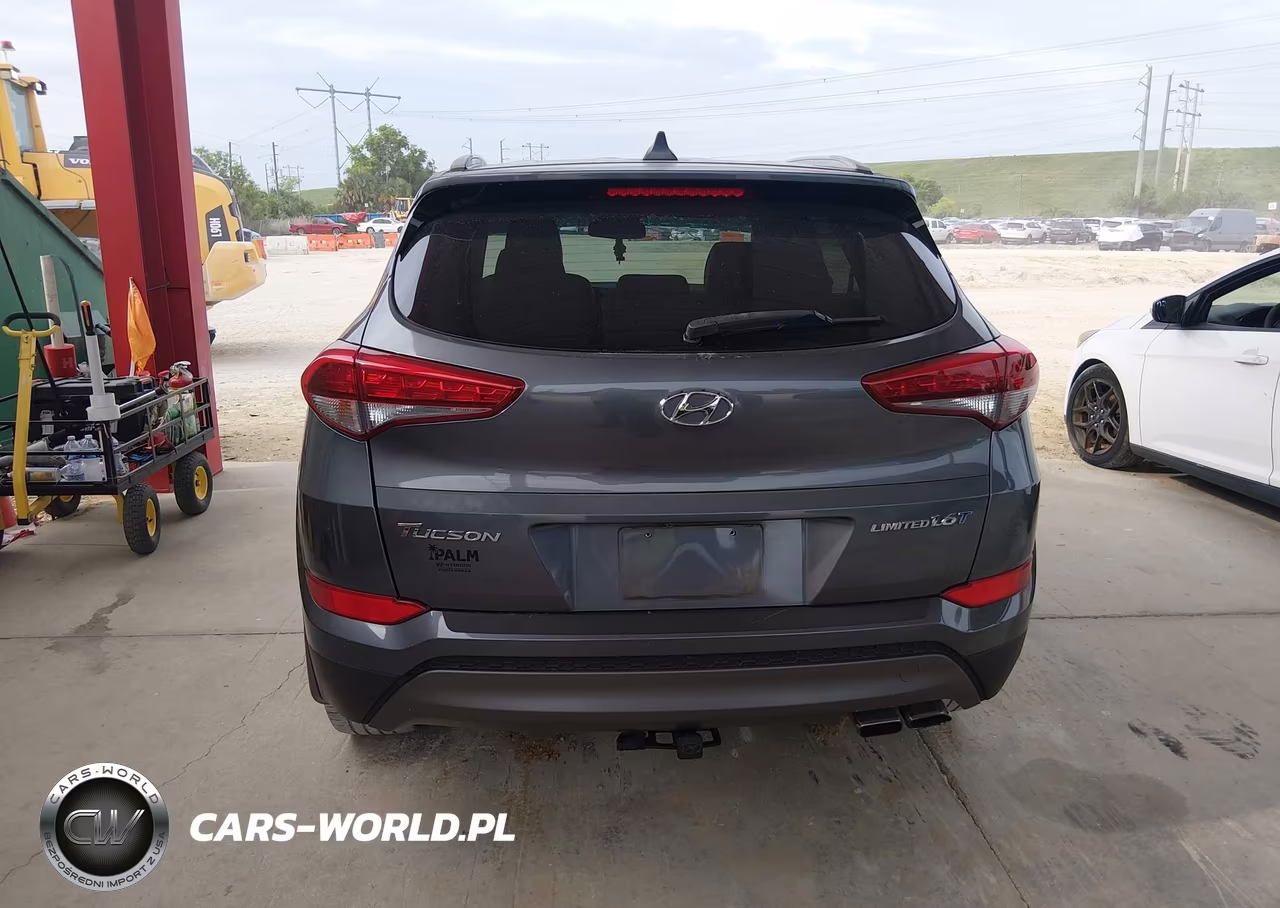 2016 Hyundai Tucson Limited VIN:KM8J33A25GU196223 - 16