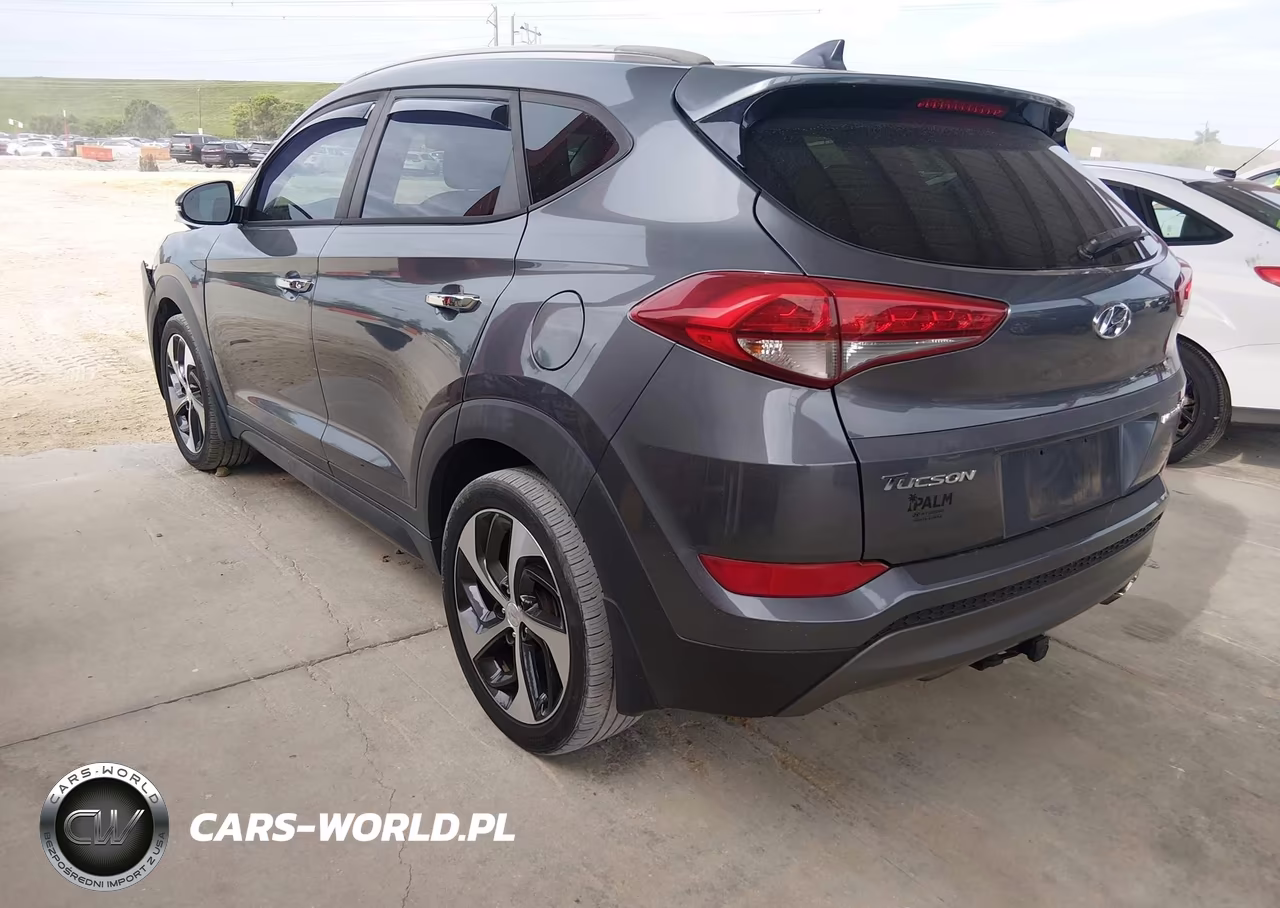 2016 Hyundai Tucson Limited VIN:KM8J33A25GU196223 - 3