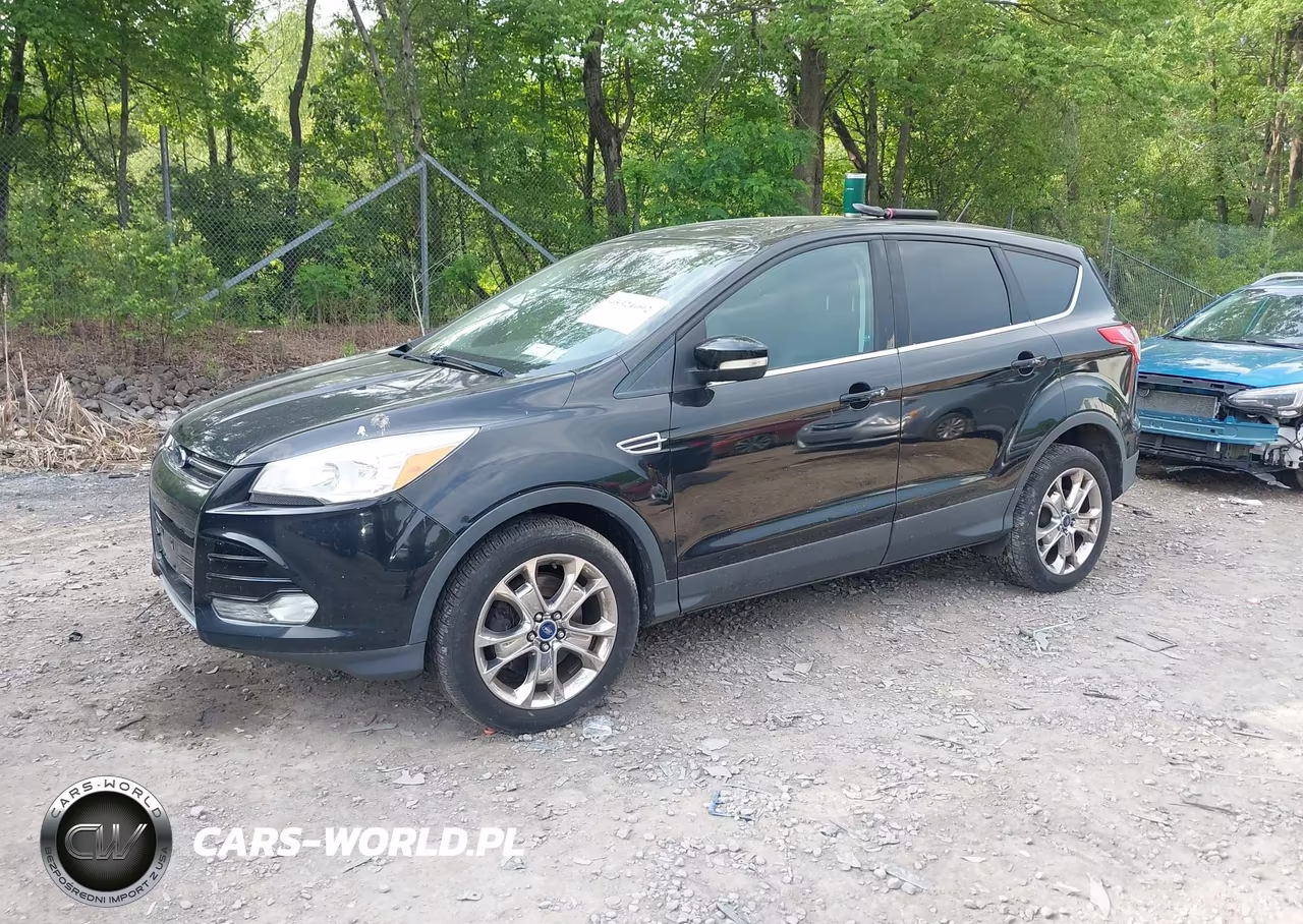 2013 Ford Escape Sel VIN:1FMCU9HX9DUB49461 - 2