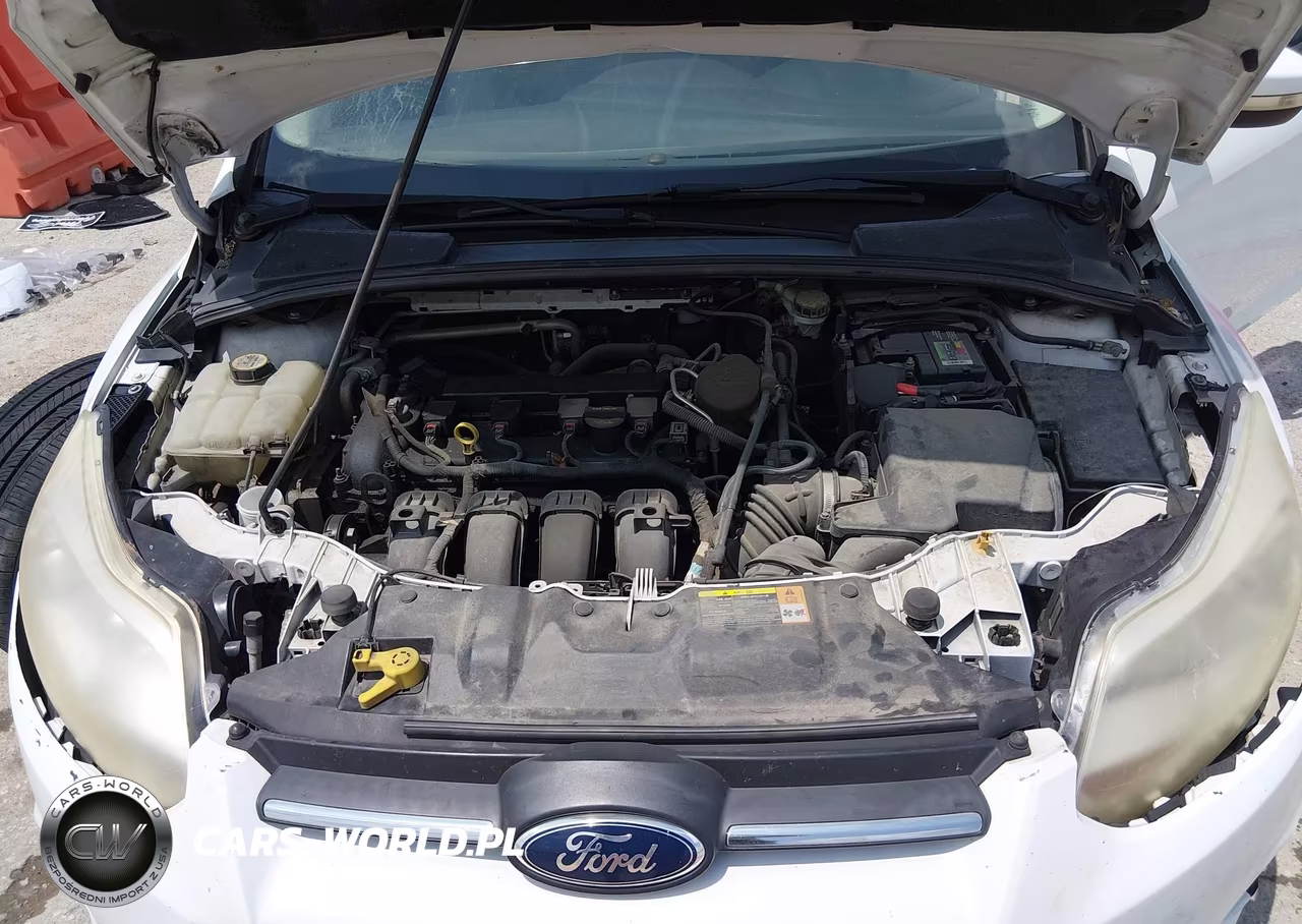 2013 Ford Focus Se VIN:1FADP3F24DL200669 - 10