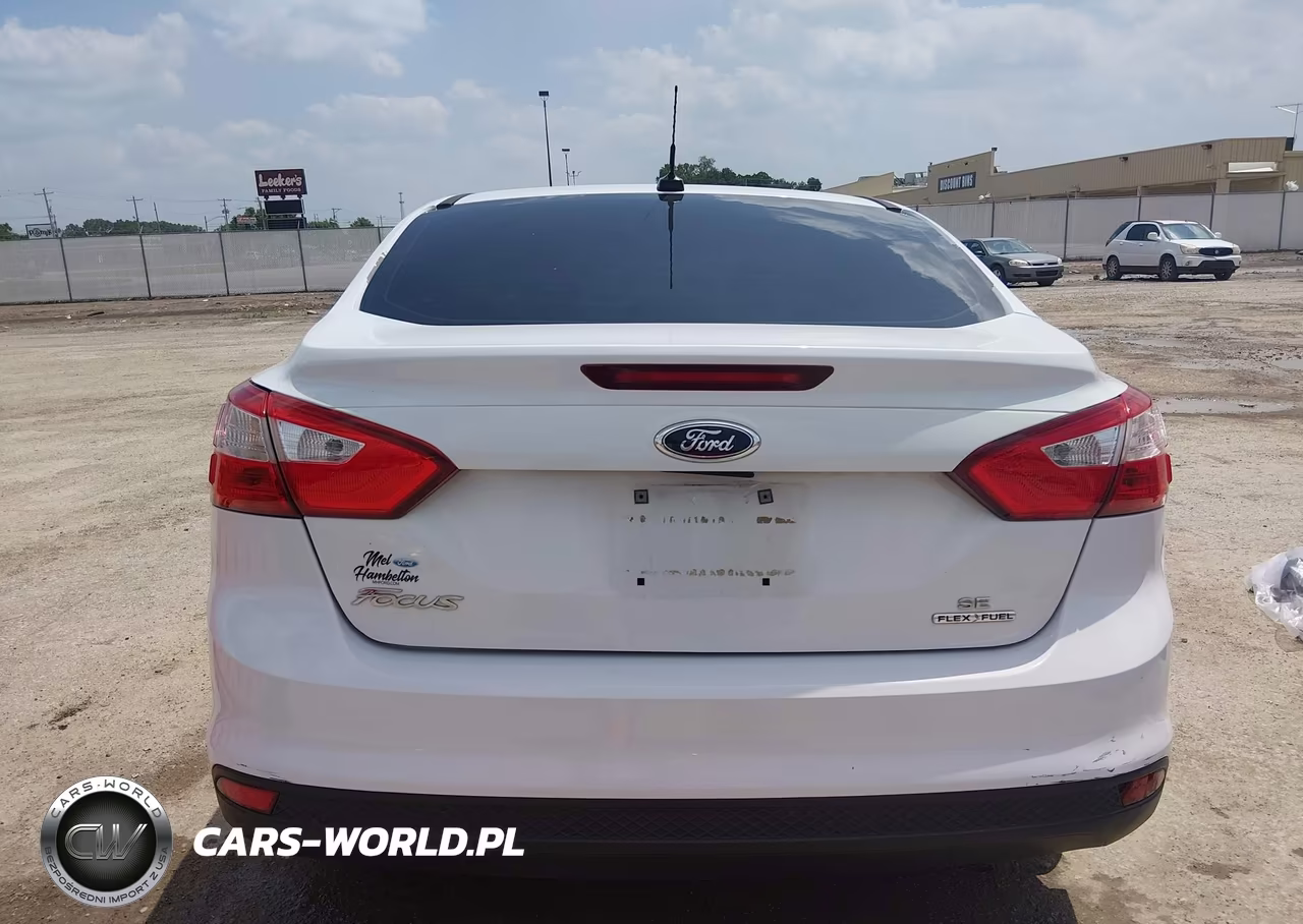 2013 Ford Focus Se VIN:1FADP3F24DL200669 - 16