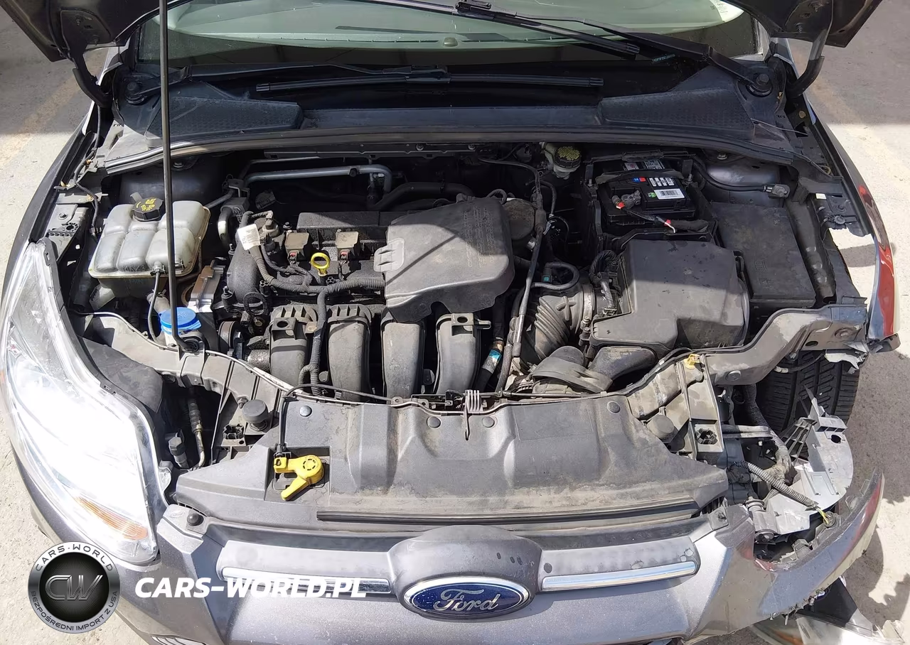 2014 Ford Focus Se VIN:1FADP3F25EL241748 - 10