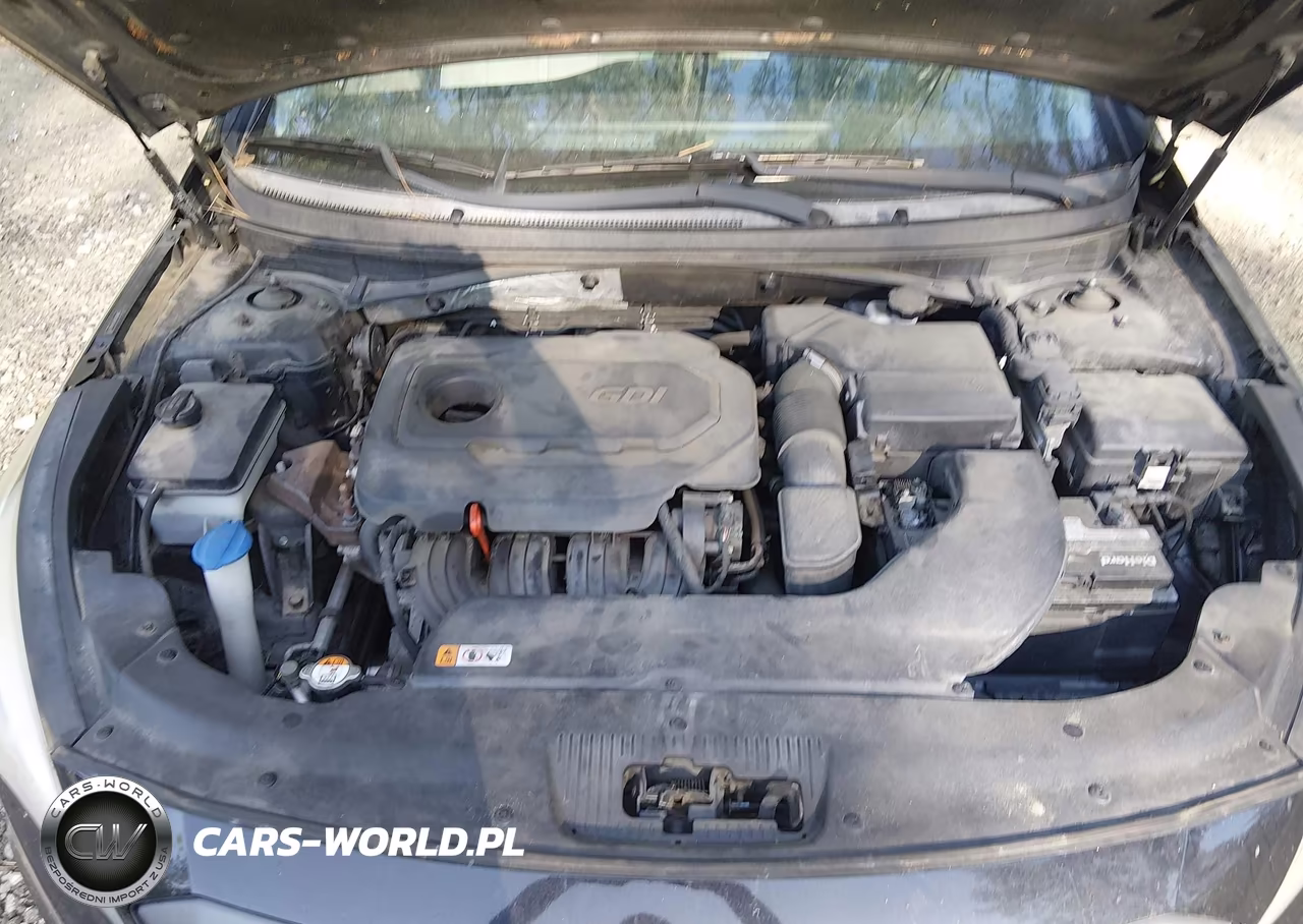 2015 Hyundai Sonata Sport VIN:5NPE34AF9FH040970 - 10