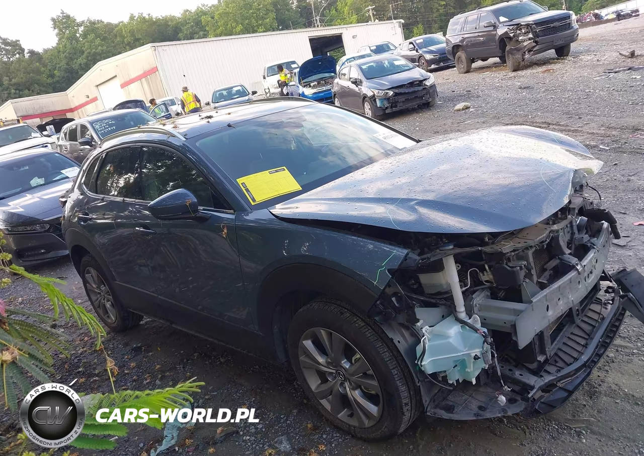 2021 Mazda Cx-30 Premium VIN:3MVDMBDL2MM314806 - 14
