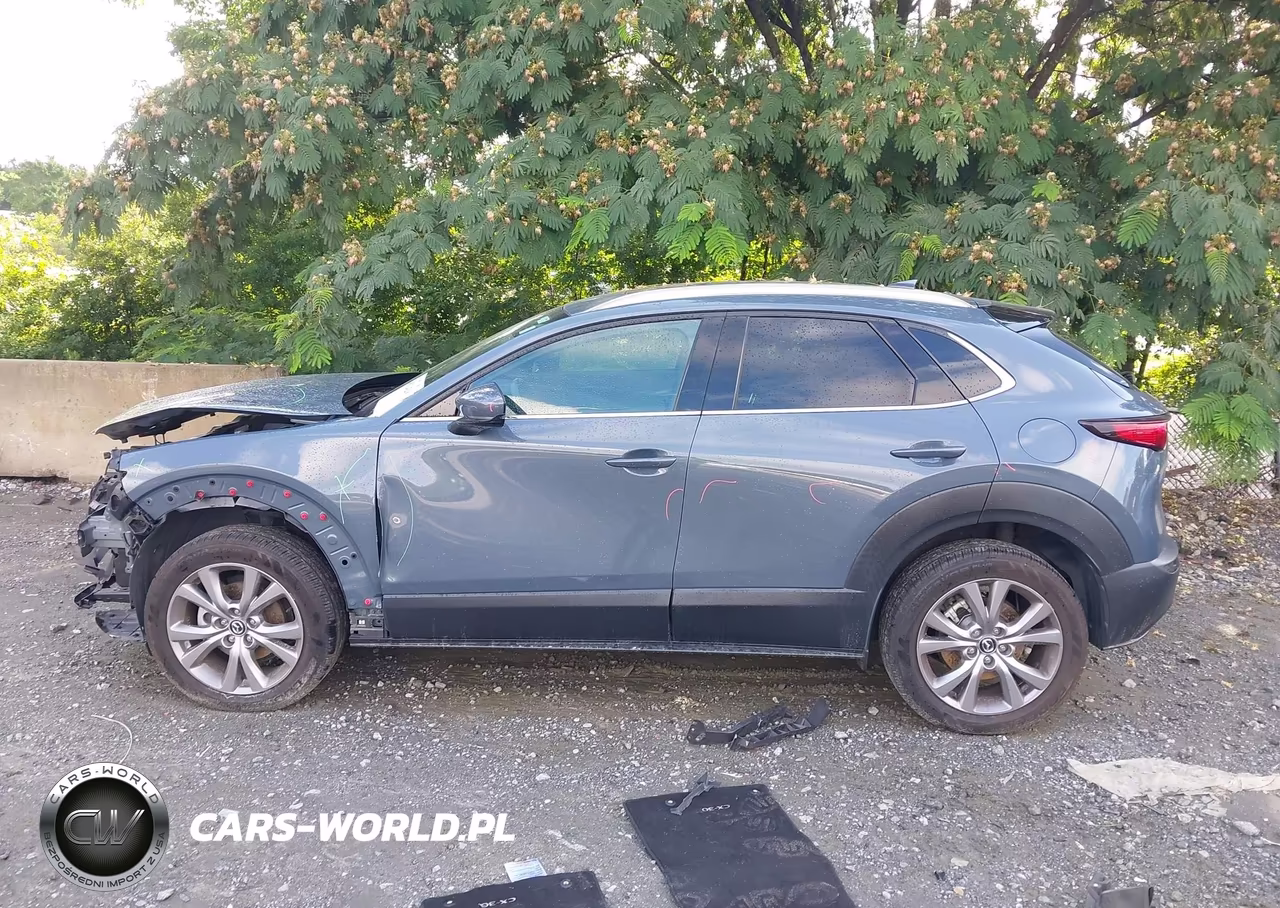 2021 Mazda Cx-30 Premium VIN:3MVDMBDL2MM314806 - 15