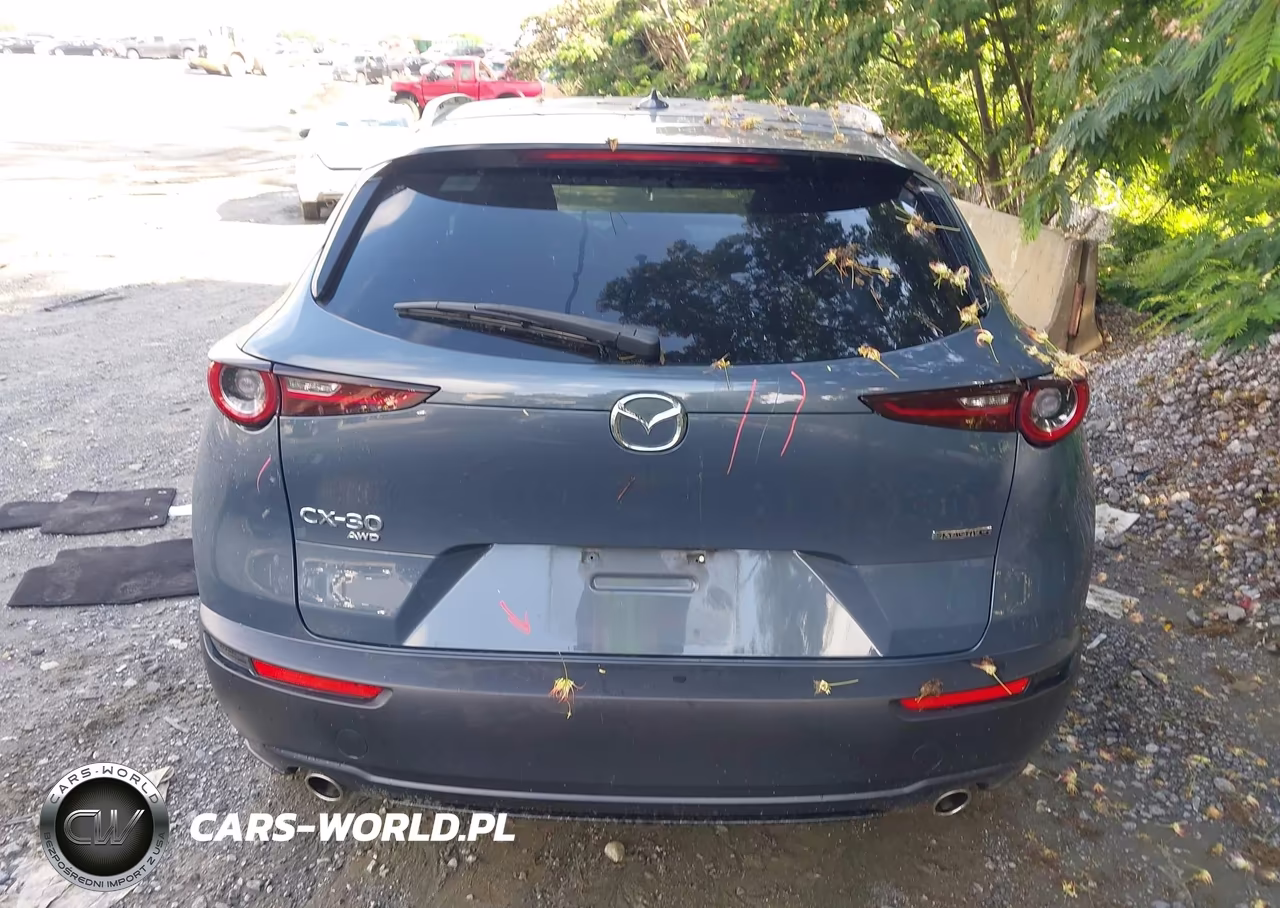 2021 Mazda Cx-30 Premium VIN:3MVDMBDL2MM314806 - 17
