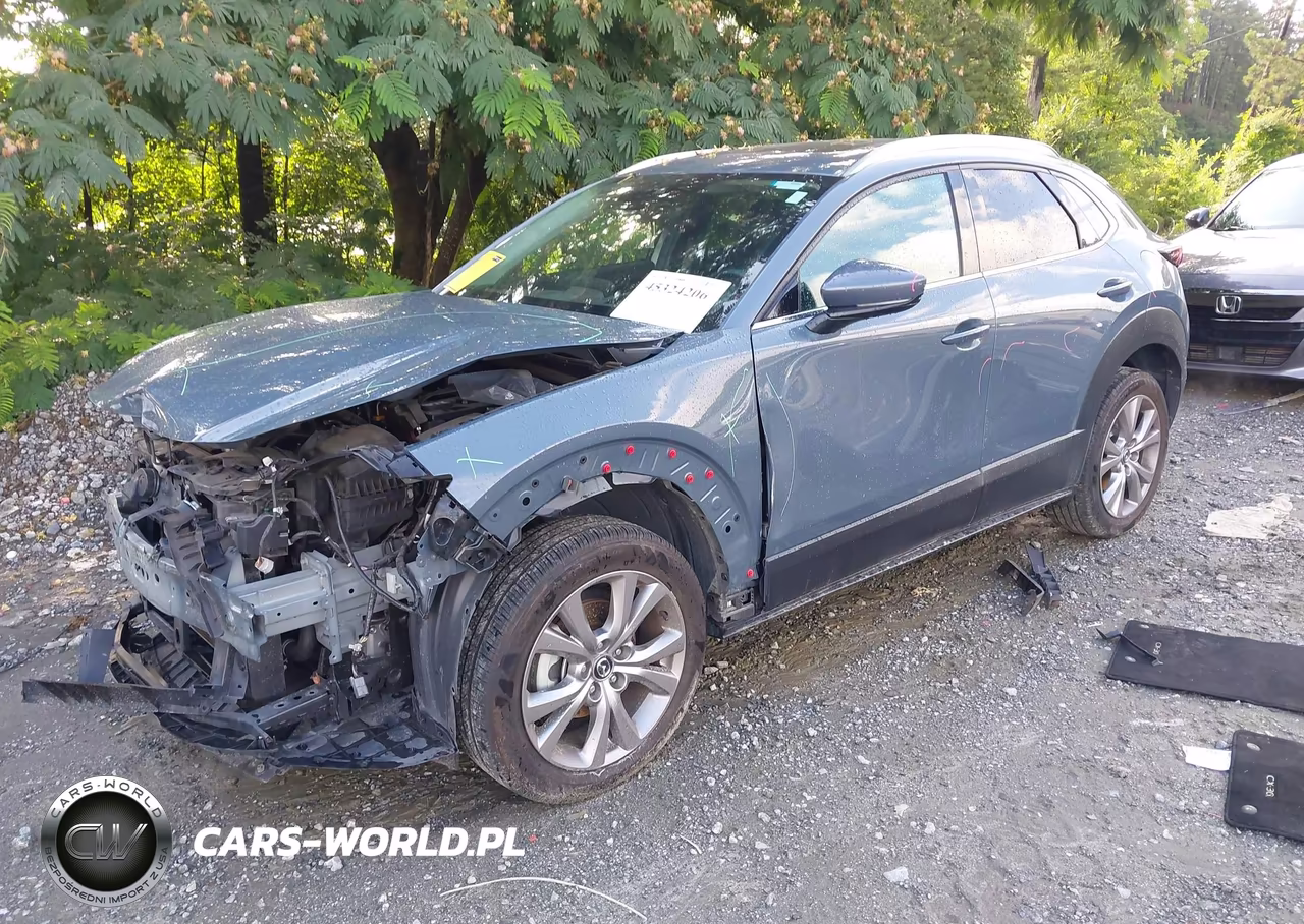 2021 Mazda Cx-30 Premium VIN:3MVDMBDL2MM314806 - 2